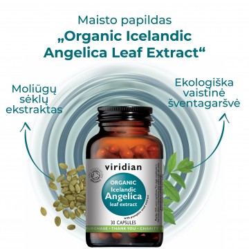 Maisto papildas Ekologiška Vaistinė Šventagaršvė „Organic Icelandic Angelica leaf extract“